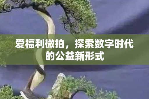 探索数字时代的公益新形式图片