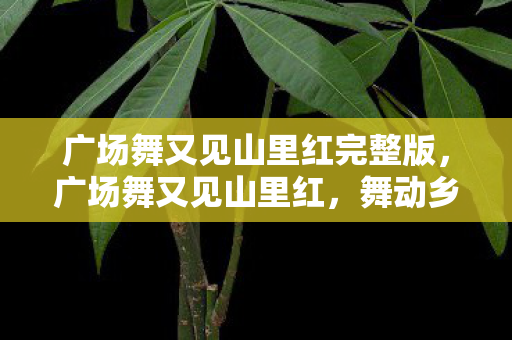 广场舞又见山里红完整版图片