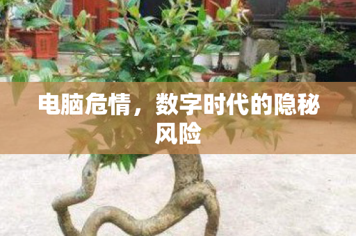 数字时代的隐秘风险图片