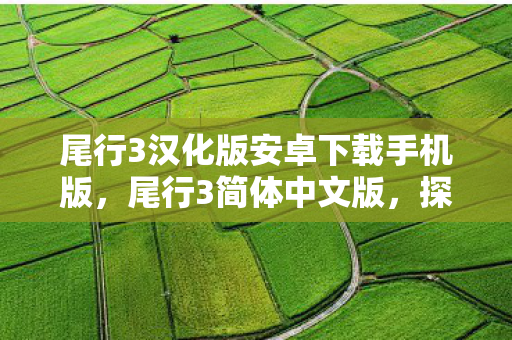 尾行3汉化版安卓下载手机版图片