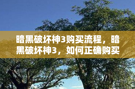 如何正确购买与体验这款经典游戏图片