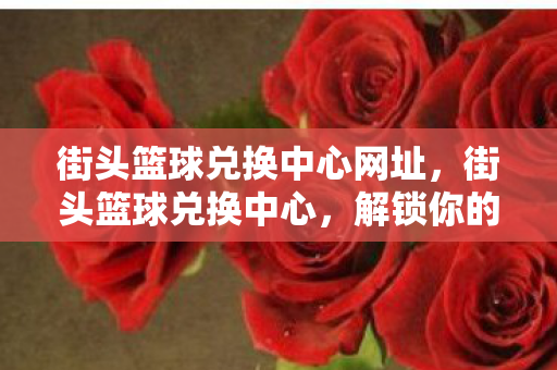 街头篮球兑换中心网址图片