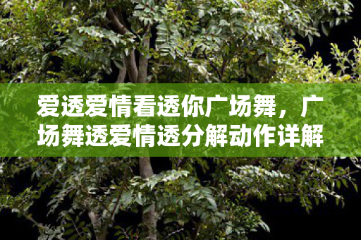 广场舞透爱情透分解动作详解图片