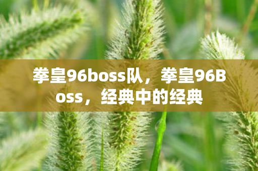 拳皇96boss队图片