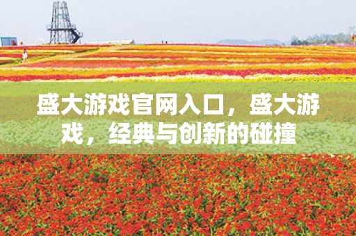 盛大游戏官网入口，盛大游戏，经典与创新的碰撞