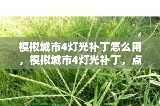 模拟城市4灯光补丁怎么用图片