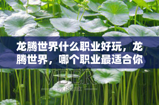龙腾世界什么职业好玩图片