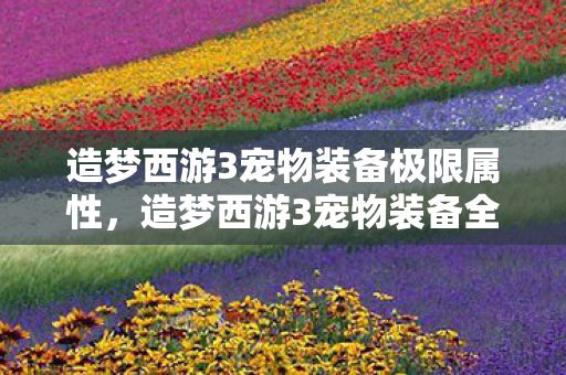 造梦西游3宠物装备极限属性图片