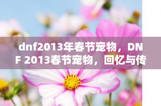 dnf2013年春节宠物图片