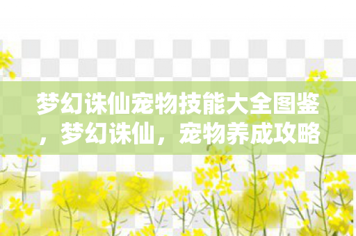 梦幻诛仙宠物技能大全图鉴，梦幻诛仙，宠物养成攻略与心得分享