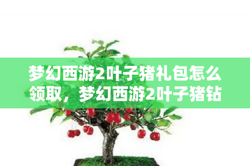 梦幻西游2叶子猪礼包怎么领取图片