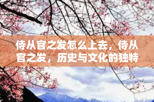 历史与文化的独特视角图片