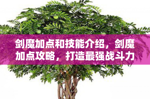 打造最强战斗力的关键图片