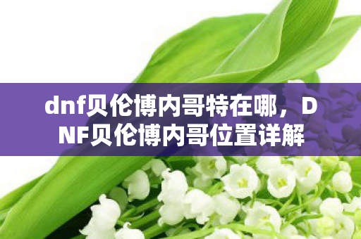 DNF贝伦博内哥位置详解图片