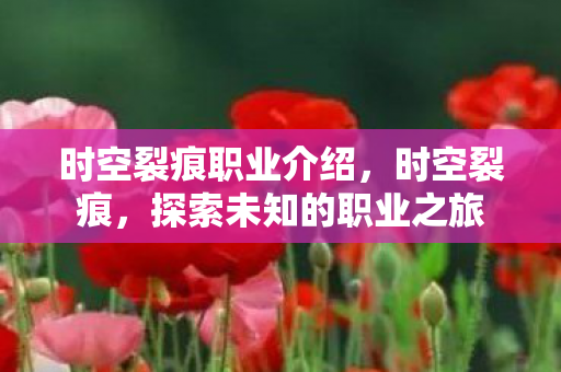 探索未知的职业之旅图片