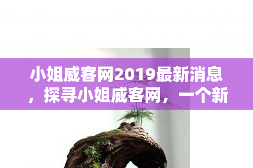 小姐威客网2019最新消息图片