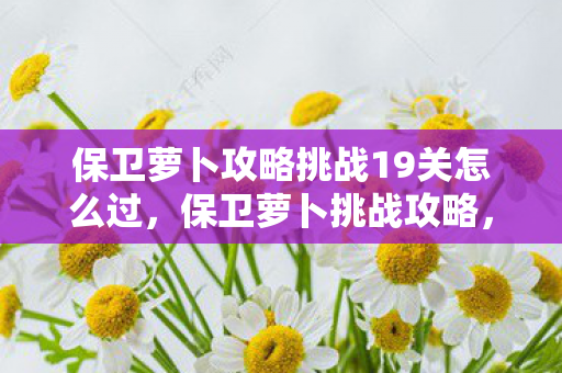 保卫萝卜攻略挑战19关怎么过图片