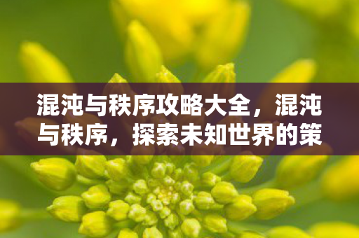 探索未知世界的策略指南图片