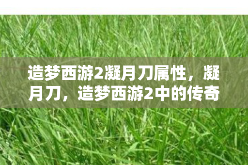 造梦西游2中的传奇利器图片