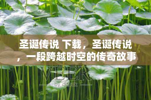 一段跨越时空的传奇故事图片