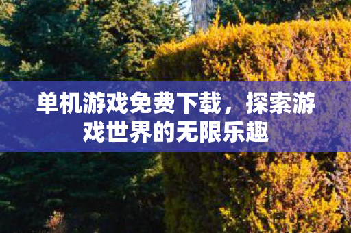 单机游戏免费下载，探索游戏世界的无限乐趣