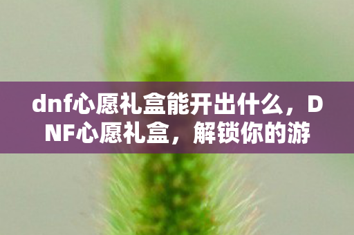 dnf心愿礼盒能开出什么，DNF心愿礼盒，解锁你的游戏梦想