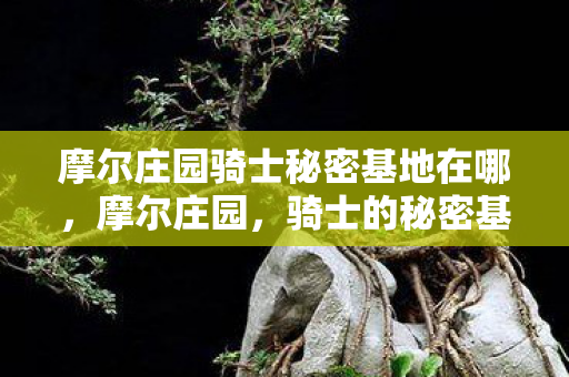 摩尔庄园骑士秘密基地在哪图片