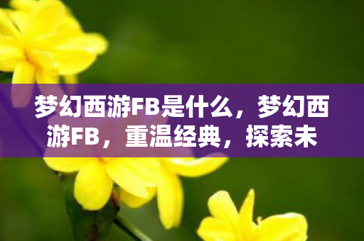 梦幻西游FB是什么，梦幻西游FB，重温经典，探索未知