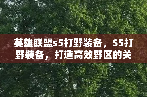 英雄联盟s5打野装备，S5打野装备，打造高效野区的关键