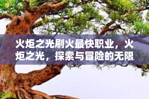 火炬之光刷火最快职业图片