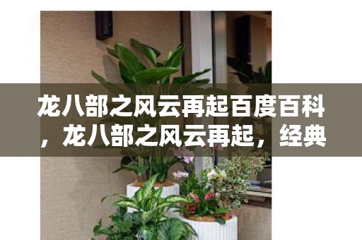 龙八部之风云再起百度百科图片