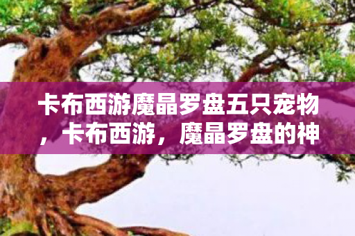 卡布西游魔晶罗盘五只宠物，卡布西游，魔晶罗盘的神秘之旅