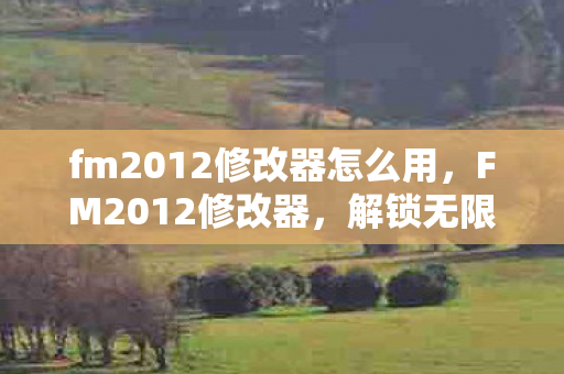 fm2012修改器怎么用，FM2012修改器，解锁无限可能的足球管理模拟