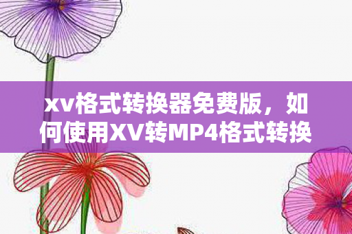 如何使用XV转MP4格式转换器图片