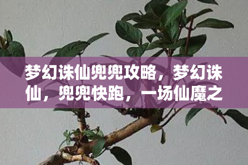 梦幻诛仙兜兜攻略，梦幻诛仙，兜兜快跑，一场仙魔之间的速度与激情