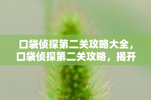 口袋侦探第二关攻略大全图片