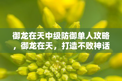 御龙在天中级防御单人攻略图片