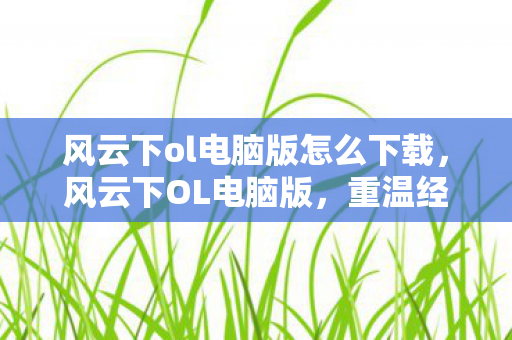 风云下ol电脑版怎么下载图片