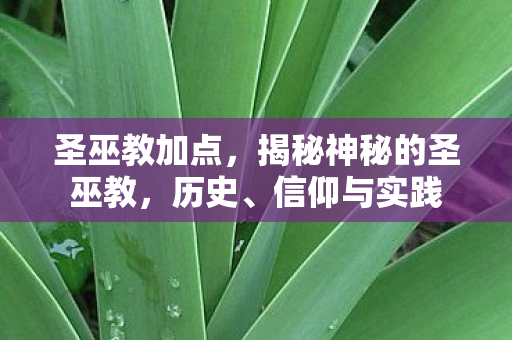 圣巫教加点，揭秘神秘的圣巫教，历史、信仰与实践
