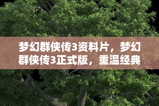 梦幻群侠传3资料片图片