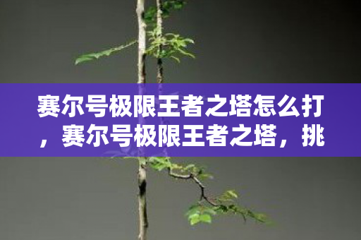 赛尔号极限王者之塔怎么打图片