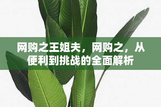 从便利到挑战的全面解析图片