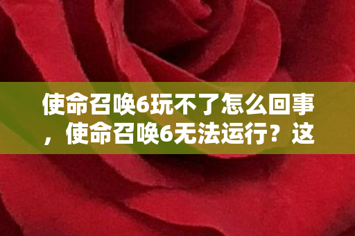 使命召唤6玩不了怎么回事图片