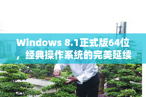 经典操作系统的完美延续图片