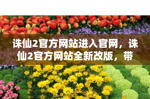 诛仙2官方网站进入官网，诛仙2官方网站全新改版，带你领略更精彩的仙侠世界