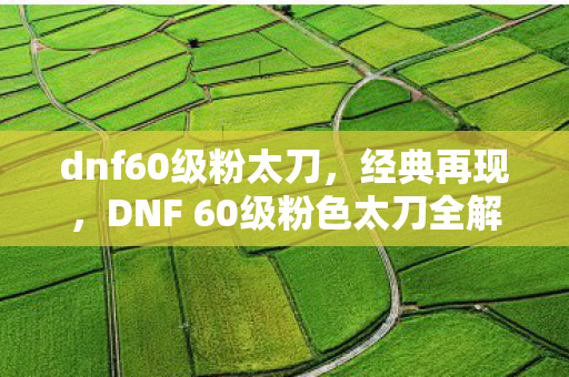 DNF 60级粉色太刀全解析图片