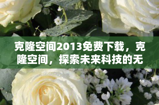 克隆空间2013免费下载图片