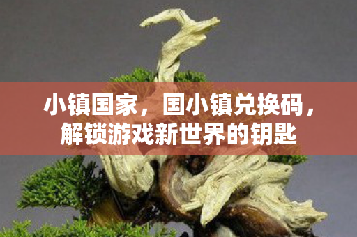 解锁游戏新世界的钥匙图片