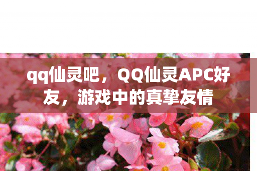 qq仙灵吧，QQ仙灵APC好友，游戏中的真挚友情