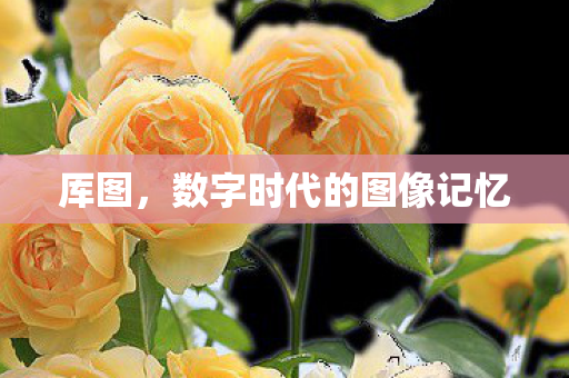 数字时代的图像记忆图片